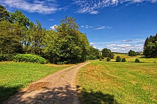 Frischluft